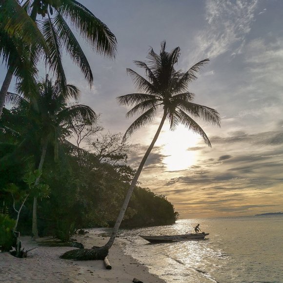 Meet your Posher, Delphine - Picture 2 of 2